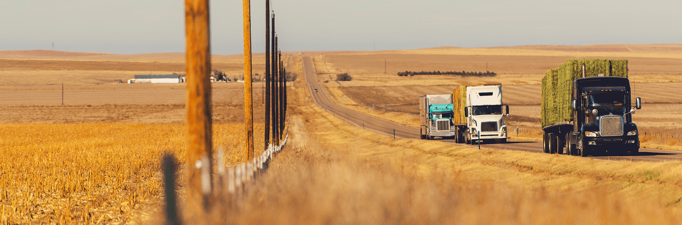 Road Background